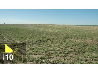 Property photo 49 - Land Auction 458+/- acres in 11 Tracts - Farmland, Woods